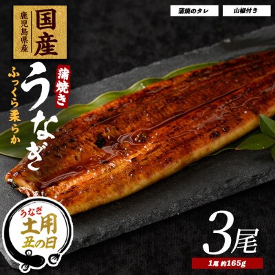 【丑の日】鹿児島県産うなぎ蒲焼じっくり焼き約165g×3尾(023-1105u)