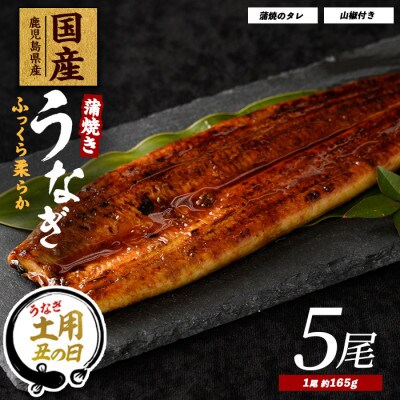 【丑の日】鹿児島県産うなぎ蒲焼じっくり焼き約165g×5尾(037-1106u)