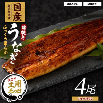 【丑の日】【鹿児島県産】うなぎ蒲焼じっくり焼き約250g×4尾(038-1108u)