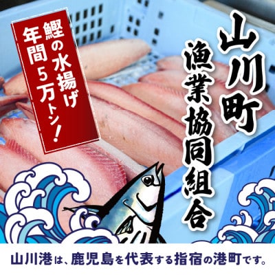 6種のすり身 300g×各1本(計1.8kg)セット(010-1204)