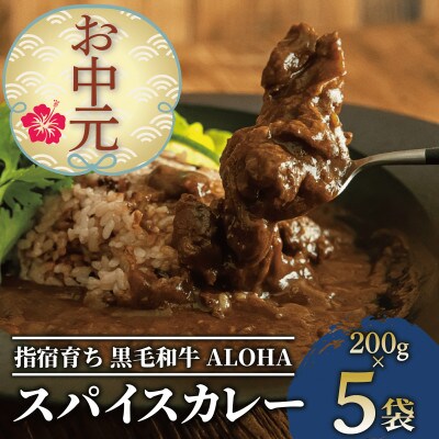 【のし付き・お中元】指宿育ち 黒毛姫牛ALOHAスパイスカレー 200g×5袋(019-1266c)