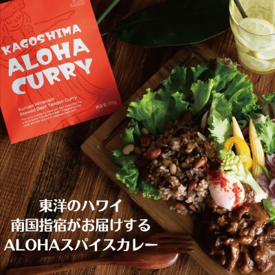 【のし付き・お中元】指宿育ち 黒毛姫牛ALOHAスパイスカレー 200g×5袋(019-1266c)