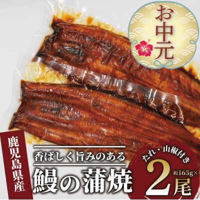 【のし付き・お中元】鹿児島県産 鰻の蒲焼(無頭背開き)約165g×2尾(016-1065c)