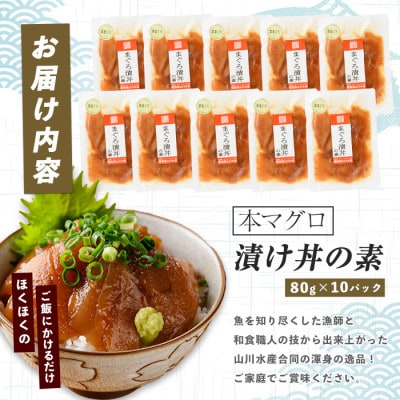 【鹿児島産本まぐろ】漁師が作った本まぐろ漬け丼80g×10P合計800g(022-1599)