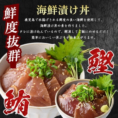 カツオのたたき(約800g)とマグロ・カツオの海鮮漬け(各100g×3P)セット(010-1861)