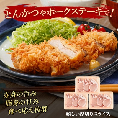 鹿児島茶美豚ロース(とんかつ用)900g(IB045-003)L-1401