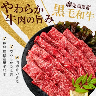 鹿児島県産黒毛和牛赤身スライス 600g(200g×3P)(010-1653)