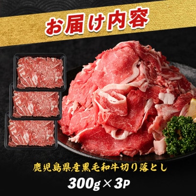 鹿児島県産黒毛和牛切り落とし900g(300g×3P)(IB112-001)
