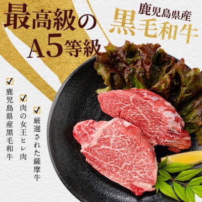 薩摩牛 極 ヒレステーキ 300g(2枚入)(026-1657)