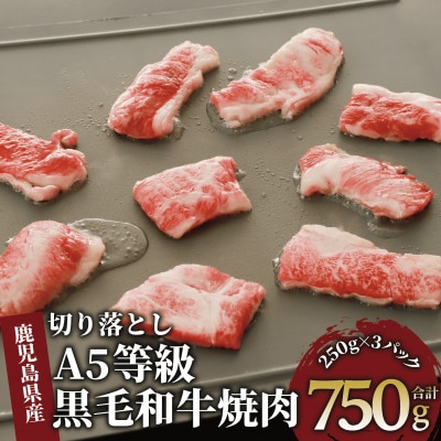 A5等級鹿児島県産黒毛和牛焼肉切り落とし750g(250g×3P)(012-1659)