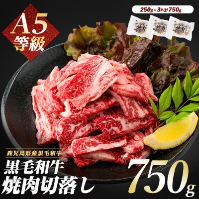 A5等級鹿児島県産黒毛和牛焼肉切り落とし750g(250g×3P)(012-1659)