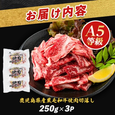 A5等級鹿児島県産黒毛和牛焼肉切り落とし750g(250g×3P)(IB112-016)