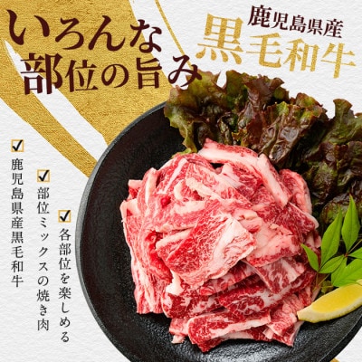 A5等級鹿児島県産黒毛和牛焼肉切り落とし750g(250g×3P)(012-1659)