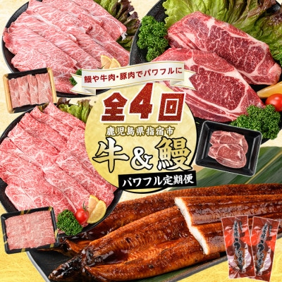 【全4回定期便】鹿児島自慢牛・うなぎパワフル便(Z050-1774)