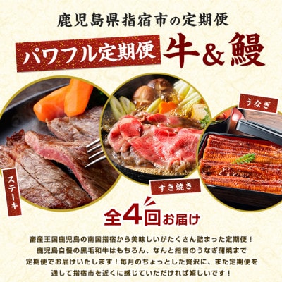 【全4回定期便】鹿児島自慢牛・うなぎパワフル便(Z050-1774)