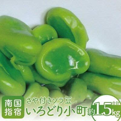 指宿産さや付きソラマメ【いろどり小町】約1.5kg(A-319)