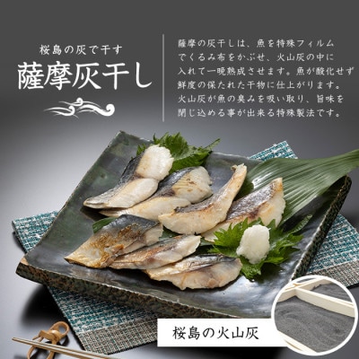 桜島火山灰で魚を熟成旨味が詰まった『薩摩の灰干し』2～3種 計6Pセット(010-1865)