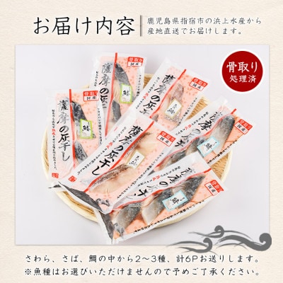 桜島火山灰で魚を熟成旨味が詰まった『薩摩の灰干し』2～3種 計6Pセット(010-1865)