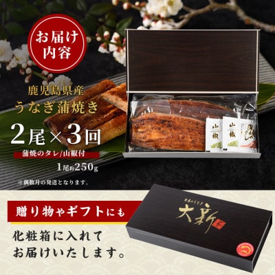 【全3回定期便・偶数月お届け】鹿児島県産うなぎ蒲焼じっくり焼き約250g×2尾(Z060-1695)