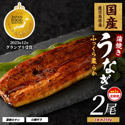 【全3回定期便・連続お届け】鹿児島県産うなぎ蒲焼 じっくり焼き約250g×2尾(Z060-1696)