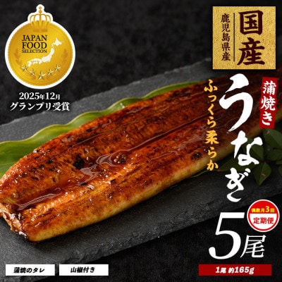 【全3回定期便・偶数月お届け】鹿児島県産うなぎ蒲焼じっくり焼き約165g×5尾(Z100-1698)
