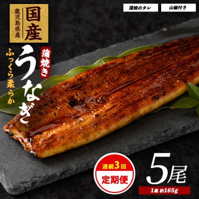 【全3回定期便・連続お届け】鹿児島県産うなぎ蒲焼 じっくり焼き約165g×5尾(Z100-1699)