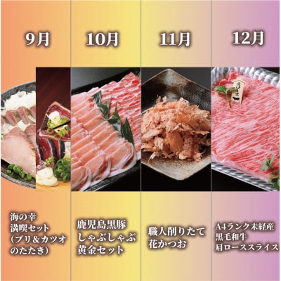 【全12回定期便】肉!魚!お惣菜にスイーツも!いぶすき人気グルメ定期便(Z200-1605)