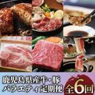 【全6回定期便】鹿児島県産牛・豚バラエティ定期便(Z120-1728)