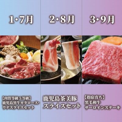 【全6回定期便】鹿児島県産牛・豚バラエティ定期便(Z120-1728)