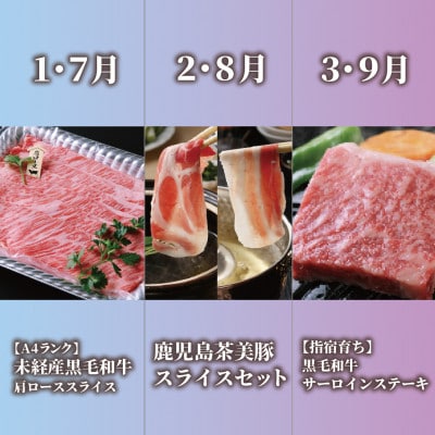 【全6回定期便】鹿児島県産牛・豚バラエティ定期便(Z120-2043)