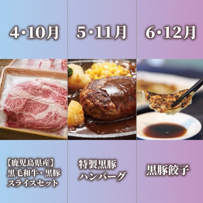 【全6回定期便】鹿児島県産牛・豚バラエティ定期便(Z120-1728)