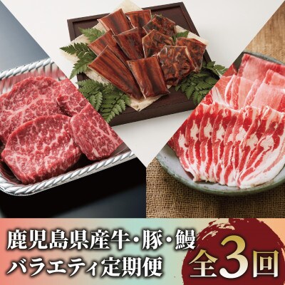 【全3回定期便】鹿児島県産牛・豚・鰻バラエティ定期便(Z055-1731)