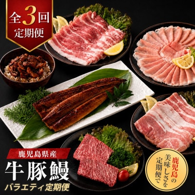 【全3回定期便】鹿児島県産牛・豚・鰻バラエティ定期便(IBZ999-004)