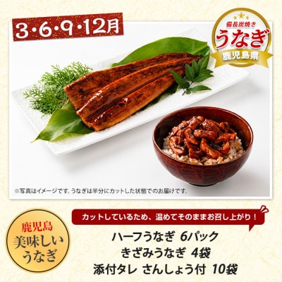 【全3回定期便】鹿児島県産牛・豚・鰻バラエティ定期便(IBZ999-004)