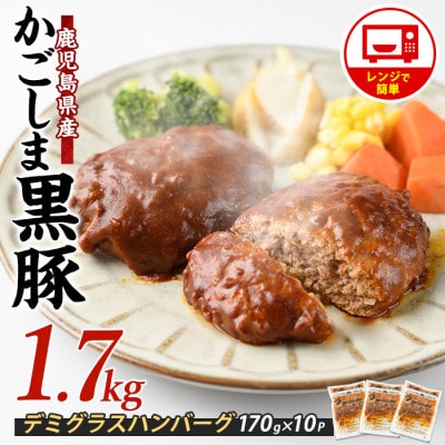 レンジで簡単かごしま黒豚デミグラスハンバーグ170g×10個(レンジ調理)(013-1771)