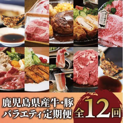 【全12回定期便】鹿児島県産牛・豚バラエティ定期便(Z180-1727)