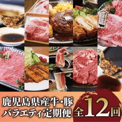 【全12回定期便】鹿児島県産牛・豚バラエティ定期便(Z180-2042)