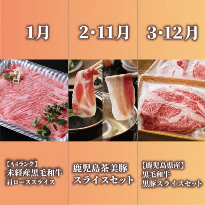 【全12回定期便】鹿児島県産牛・豚バラエティ定期便(Z180-2042)