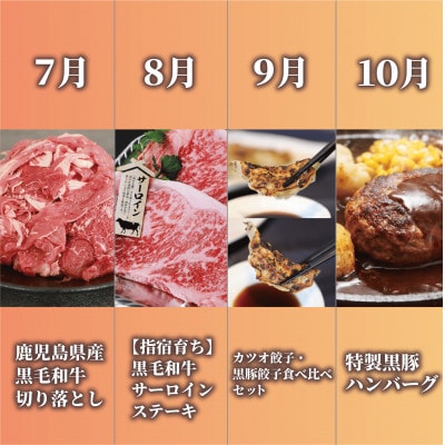 【全12回定期便】鹿児島県産牛・豚バラエティ定期便(Z180-1727)