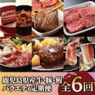 【全6回定期便】鹿児島県産牛・豚・鰻バラエティ定期便(Z100-1730)