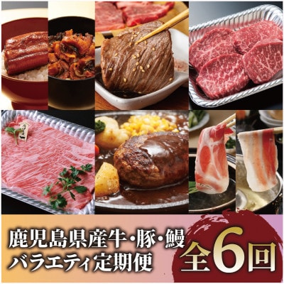 【全6回定期便】鹿児島県産牛・豚・鰻バラエティ定期便(Z100-2044)