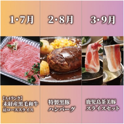 【全6回定期便】鹿児島県産牛・豚・鰻バラエティ定期便(Z100-2044)