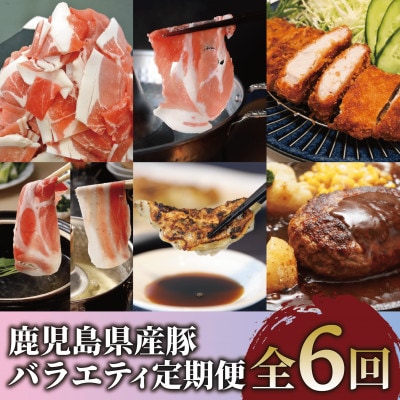 【全6回定期便】鹿児島県産豚バラエティ定期便(Z065-1726)
