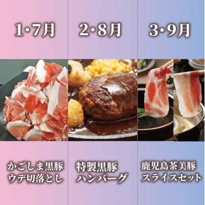 【全6回定期便】鹿児島県産豚バラエティ定期便(Z065-1726)