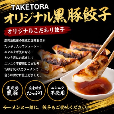 鹿児島ラーメン王2017・2019王者 TAKETORA黒豚餃子18個入×6P(IB104-003)