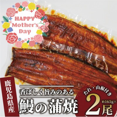 【母の日ギフト】鹿児島県産 鰻の蒲焼(無頭背開き)約165g×2尾(016-1065m)