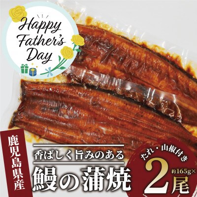 【父の日ギフト】鹿児島県産 鰻の蒲焼(無頭背開き)約165g×2尾(016-1065f)