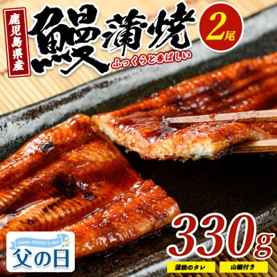 【父の日ギフト】鹿児島県産 鰻の蒲焼(無頭背開き)約165g×2尾(IB022-001f)