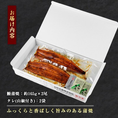 【父の日ギフト】鹿児島県産 鰻の蒲焼(無頭背開き)約165g×2尾(IB022-001f)