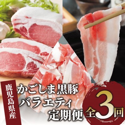 【全3回定期便】かごしま黒豚バラエティ定期便(Z032-1886)